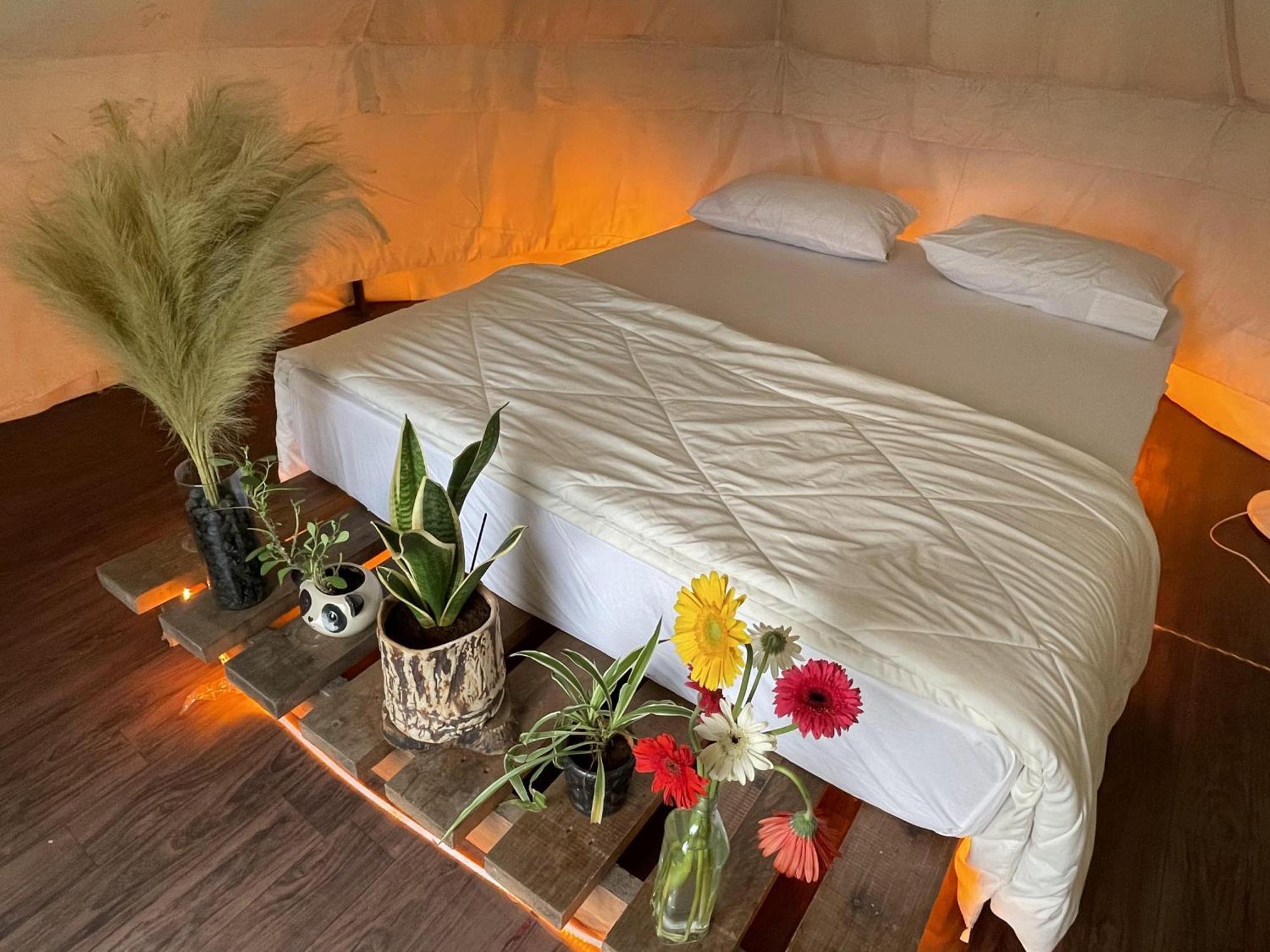 Forestale Glamping - Panshet Camping Pune